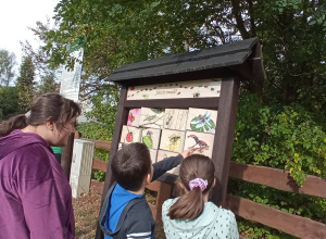 "Zielony Reset" w lesie – sensoryczna przygoda uczniów w Punkcie Edukacyjnym Podświerk